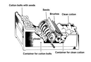 Ginning Machine Types Ginning- Objectives & Types of ginning