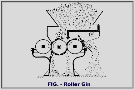 Roller Gin